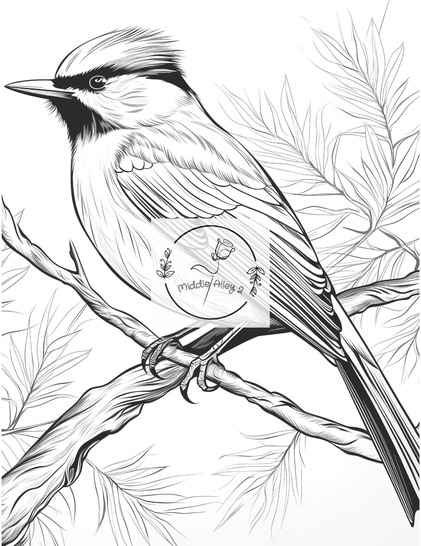 🦜 Federleicht & Farbenfroh – Das Malbuch mit 50 faszinierenden Vögeln 🎨🌿