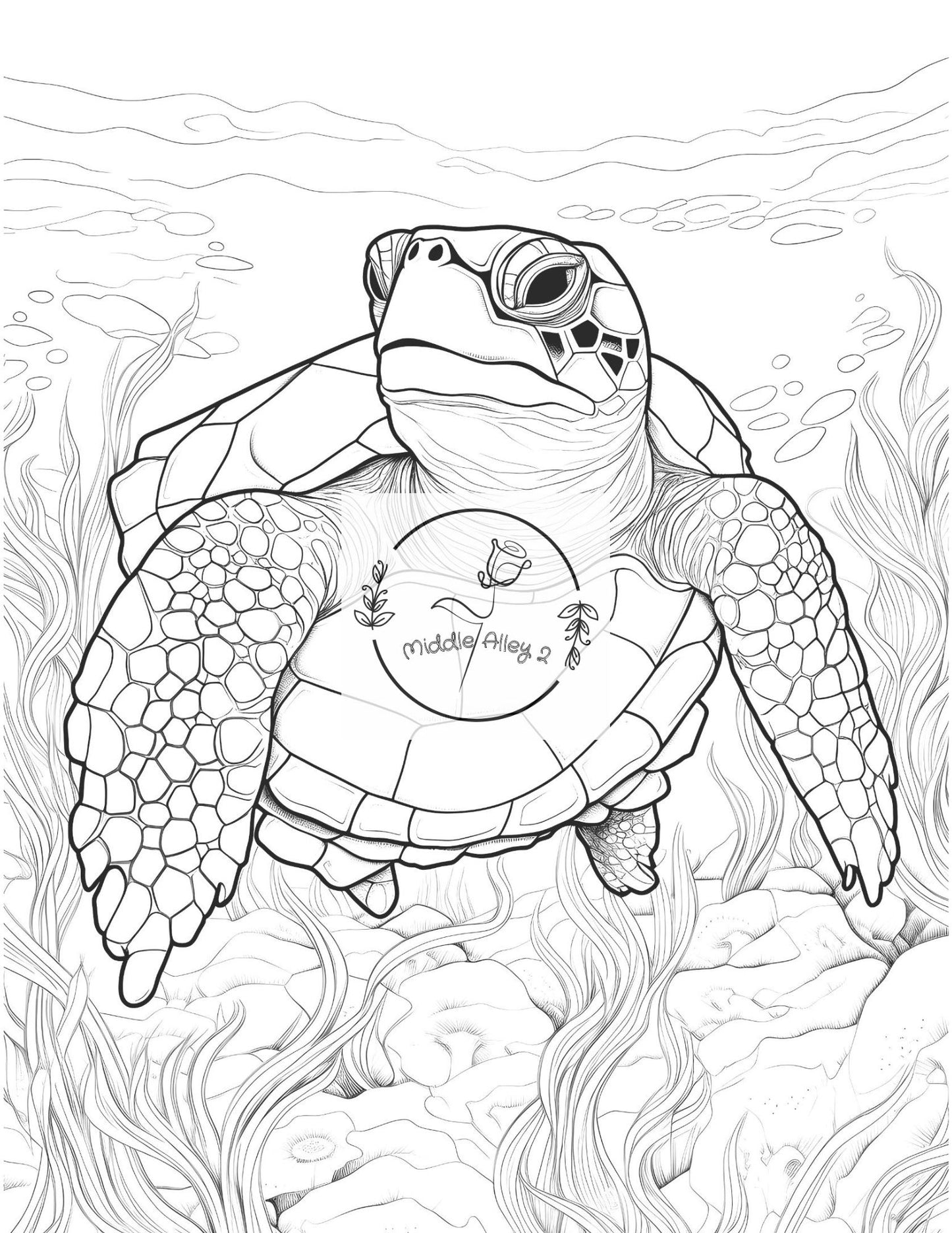 🐢🎨 „Turtly Awesome – Das Malbuch mit 50 einzigartigen Schildkröten-Motiven“ 🌊🖌️