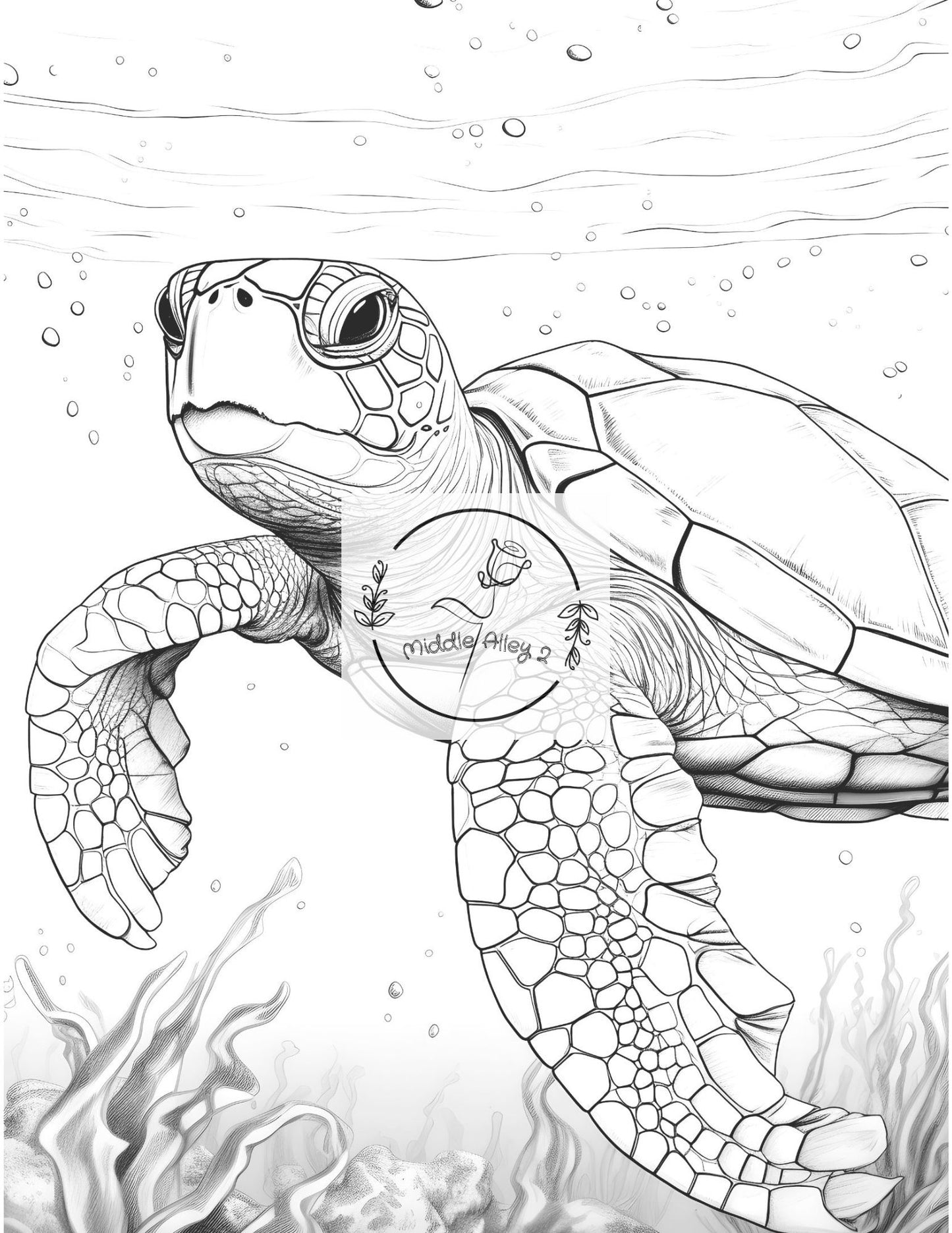 🐢🎨 „Turtly Awesome – Das Malbuch mit 50 einzigartigen Schildkröten-Motiven“ 🌊🖌️