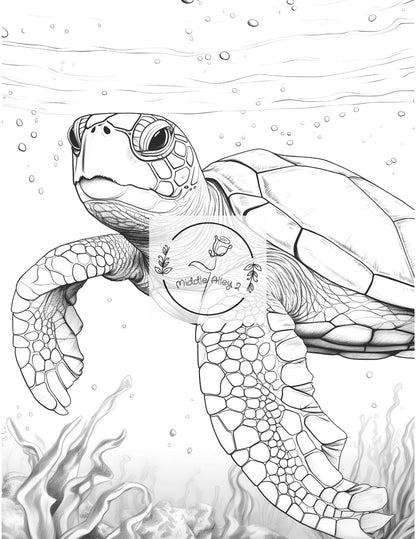 🐢🎨 „Turtly Awesome – Das Malbuch mit 50 einzigartigen Schildkröten-Motiven“ 🌊🖌️