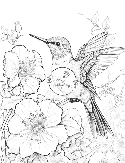 🦜 Federleicht & Farbenfroh – Das Malbuch mit 50 faszinierenden Vögeln 🎨🌿