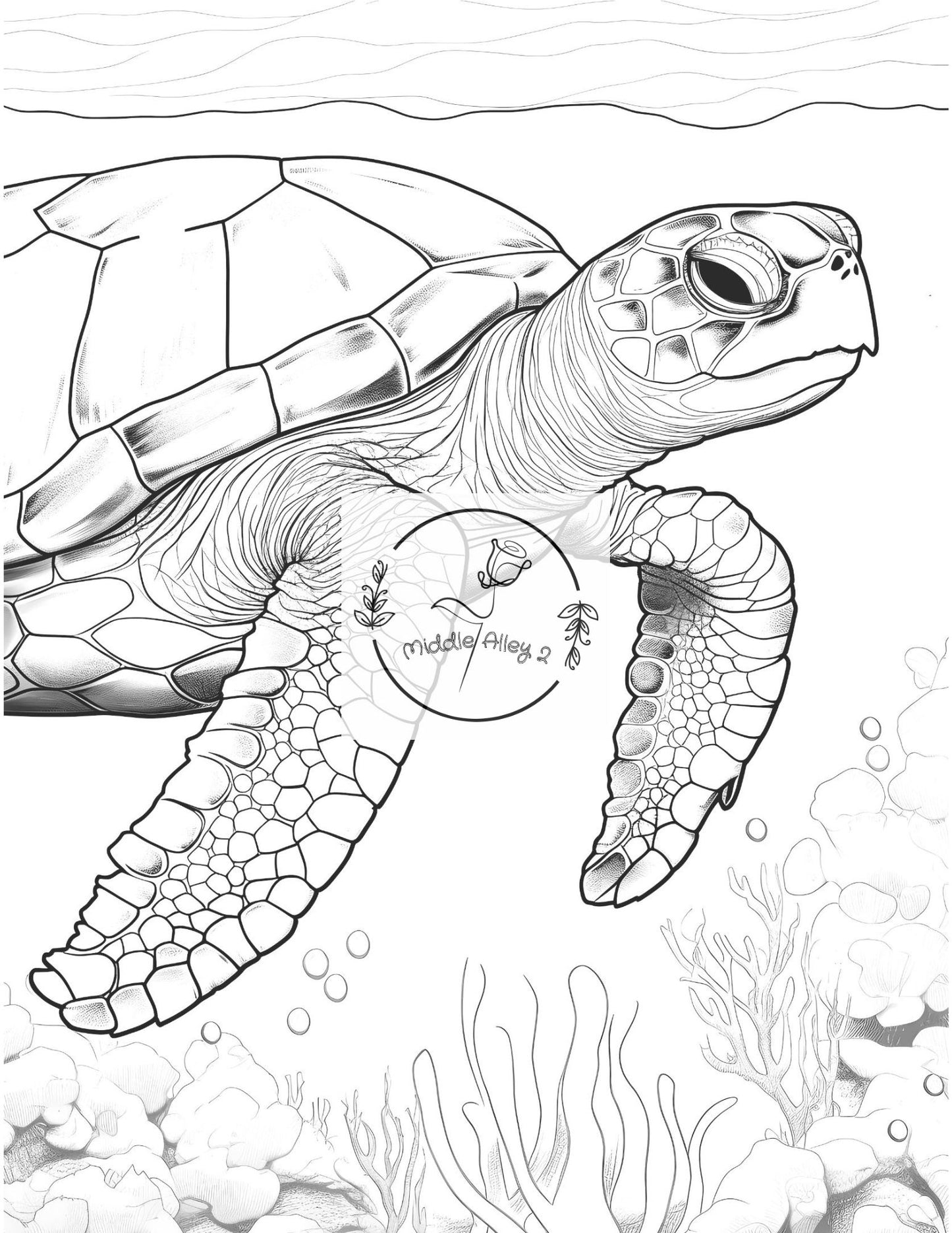 🐢🎨 „Turtly Awesome – Das Malbuch mit 50 einzigartigen Schildkröten-Motiven“ 🌊🖌️