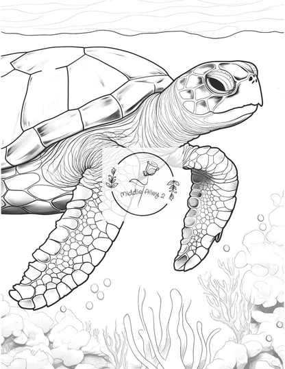 🐢🎨 „Turtly Awesome – Das Malbuch mit 50 einzigartigen Schildkröten-Motiven“ 🌊🖌️