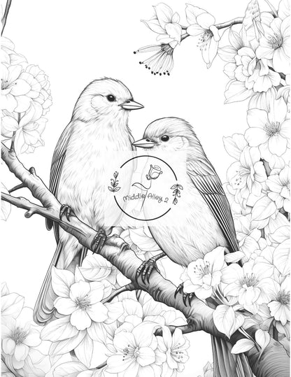🦜 Federleicht & Farbenfroh – Das Malbuch mit 50 faszinierenden Vögeln 🎨🌿